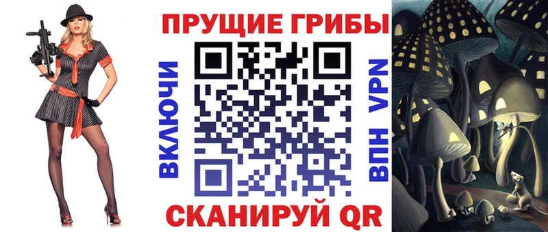 Псилоцибиновые грибы Psilocybe Тихвин