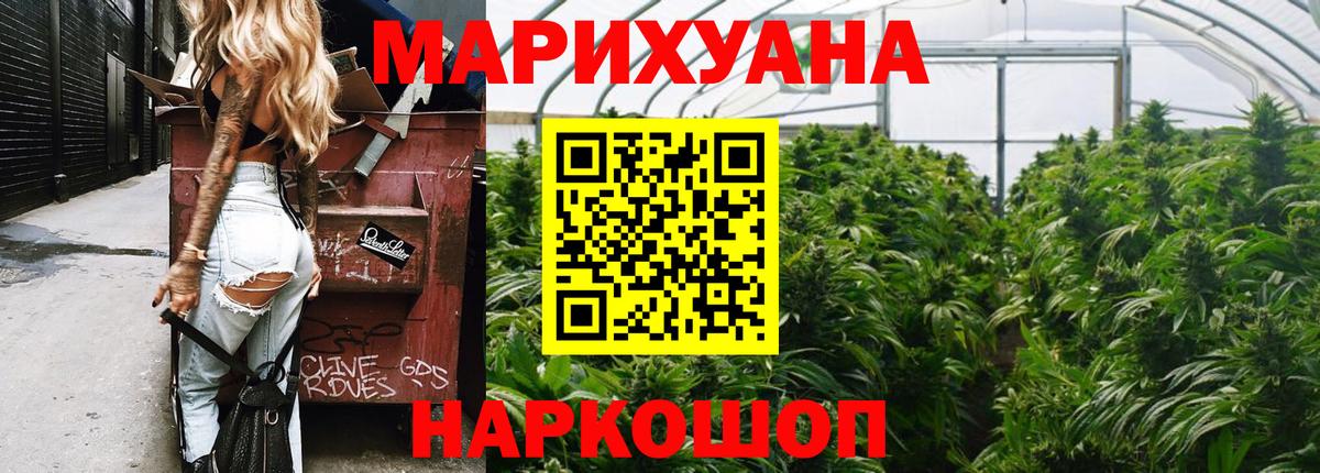 Тихвин  Конопля тримм  Конопля THC 21%  Бошки Шишки Bruce Banner  Каннабис план  Вход с VPN 